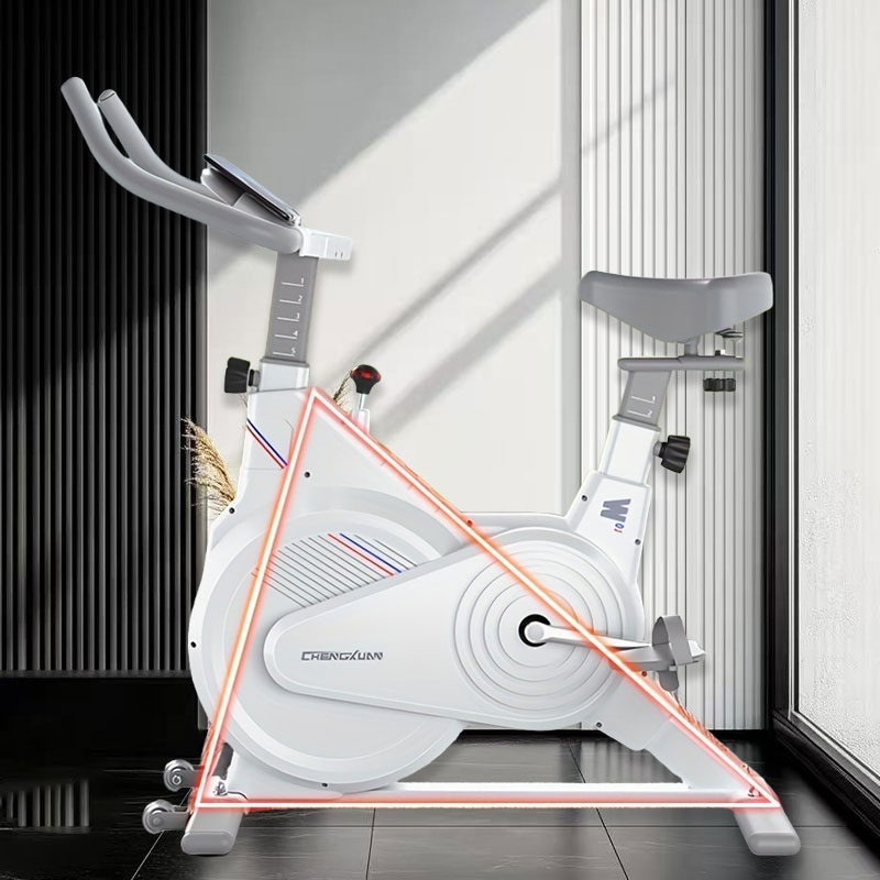 室内固定式スピンバイク、静音磁気抵抗エクササイズバイク（LC - Sports Equipment Warehouse のレビューと価格