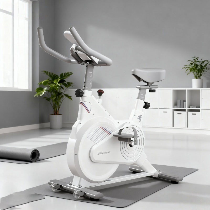 室内固定式スピンバイク、静音磁気抵抗エクササイズバイク（LC - Sports Equipment Warehouse のレビューと価格